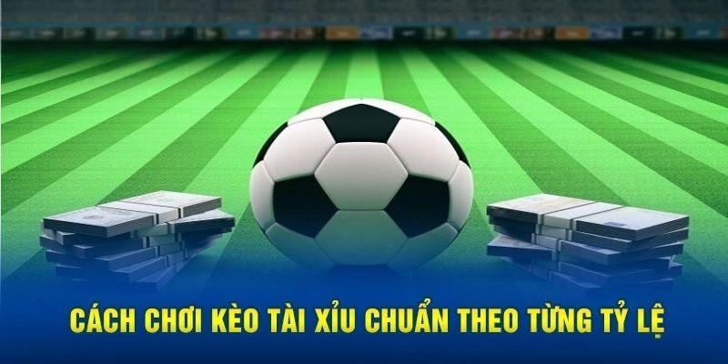 Các yếu tố cần phân tích trước khi chơi